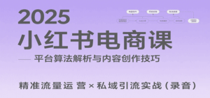 2025小红书电商课:解析算法,创作高转化内容,助力卖家获取流量实现变现(录音)-淘米帮