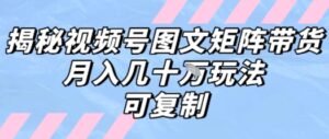 解密视频号图文矩阵带货,月入几个W的打法,可复制-淘米帮