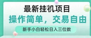 最新挂G项目，操作简单，交易自由，人人可上手，新手小白轻松日入三位数【揭秘】-淘米帮