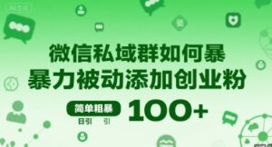 微信私域群如何暴力被动添加创业粉，简单粗暴，日引100+-淘米帮