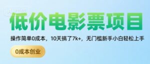 低价电影票项目，操作简单0成本，10天搞了7k+，无门槛新手小白轻松上手【揭秘】-淘米帮