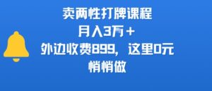 卖两性打牌课程,月入3W+外边收费899的课程,这里0元,悄悄做-淘米帮