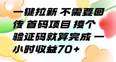 一键拉新 不需要回传 首码项目 接个验证码就算完成 一小时收益70+【揭秘】-淘米帮