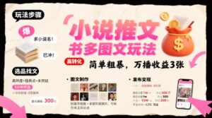 小说推文小红书多图文玩法,简单粗暴,万播收益3张-淘米帮