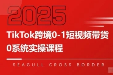 TikTok跨境0-1短视频带货，系统拆解TikTok跨境带货全链路，实现跨境可持续盈利-淘米帮