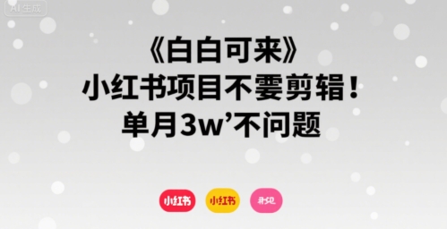 小白可来 小红书项目不需要剪辑 单月3w不是问题-淘米帮