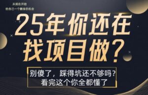 25年,你还在疯狂的找项目吗?别傻了,看完这个你都懂了【揭秘】-淘米帮
