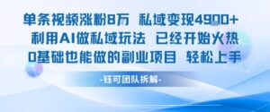 单条视频私域变现4.9k+利用AI做私域玩法 已经开始火热0基础也能做的副业项目轻松上手-淘米帮