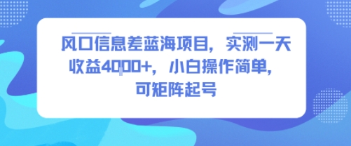 风口信息差蓝海项目，实测一天收益4k+，小白操作简单，可矩阵起号-淘米帮