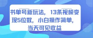 书单号新玩法，13条视频变现5位数，小白操作简单，当天可见收益-淘米帮