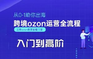 OZON入门到高阶全流程,从0-1助你出海,跨境ozon运营全流程-淘米帮