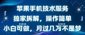 苹果手机技术服务，独家拆解，操作简单，小白可做，月过1W不是梦-淘米帮