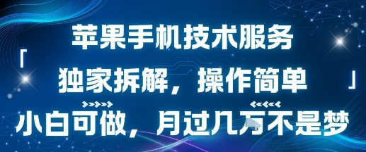 苹果手机技术服务，独家拆解，操作简单，小白可做，月过1W不是梦-淘米帮