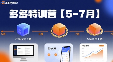 多多特训营【5-7月】产品决定上限，方法决定下限，各种玩法技巧落地实操-淘米帮