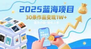 2025蓝海项目30条作品 变现1w+ 有手就能操作适合小白做-淘米帮