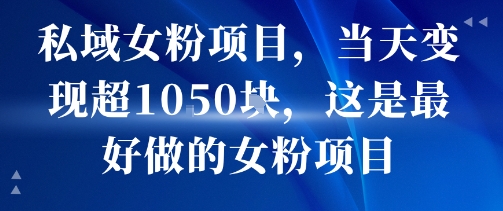 私域女粉项目，当天变现超1k，这是最好做的女粉项目，可放大操作-淘米帮