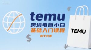 temu跨境电商小白基础入门课程，新手必看-淘米帮