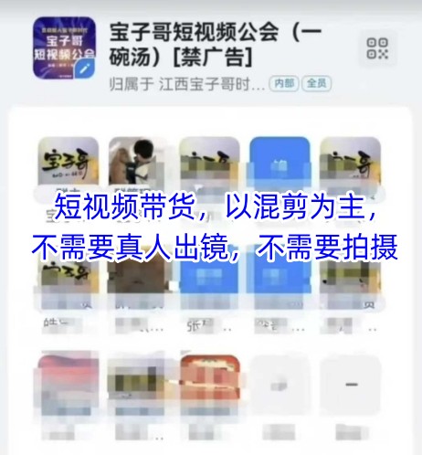 宝子哥头部团队短视频带货，以混剪为主，不需要真人出镜，不需要拍摄【更新8月】-淘米帮