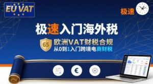 极速入门海外税,欧洲VAT财税合规,从0到1入门跨境电商财税-淘米帮