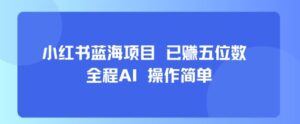 小红书蓝海项目,全程AI,操作简单,已挣五位数-淘米帮