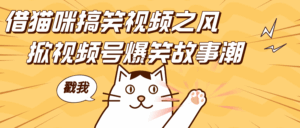 借猫咪搞笑视频之风,掀视频号爆笑故事潮,轻松日赚四位数,开启无门槛赚钱新体验!-淘米帮