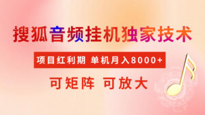 全网首发【搜狐音频挂机】独家技术,项目红利期,可矩阵可放大,稳定月入8000+-淘米帮