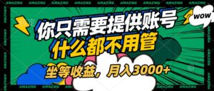 账号全程托管,你只需要提供账号,什么都不用管,坐等收益,月入3000+-淘米帮