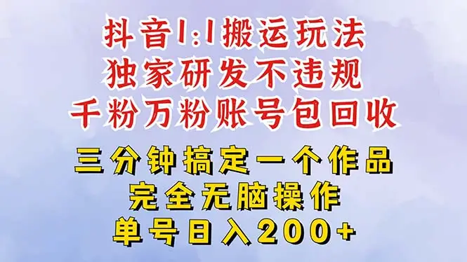 2025抖音无脑纯搬运玩法，单号日赚300+-淘米帮
