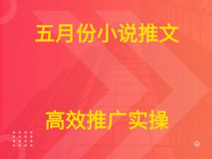 五月份小说推文 高效推广实操-淘米帮