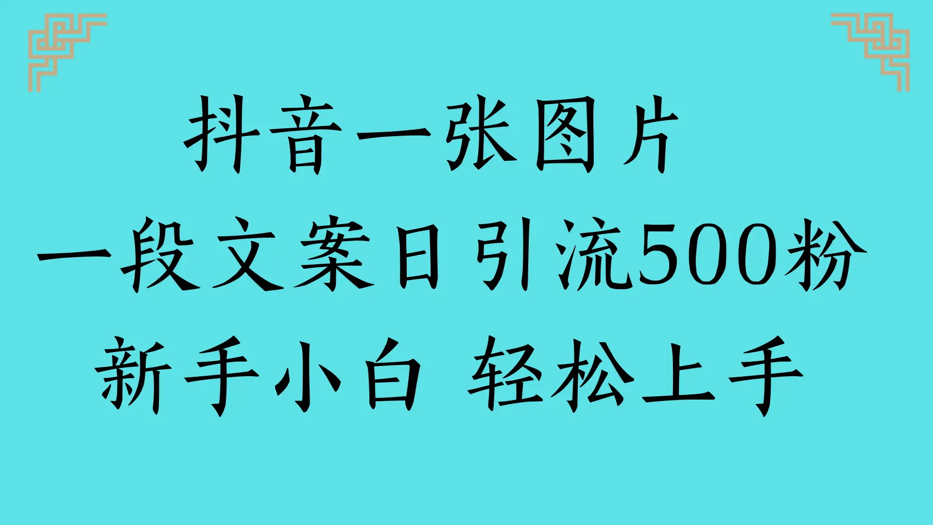 抖音一张图片 一段文案日引流500粉新手小白 轻松上手-淘米帮