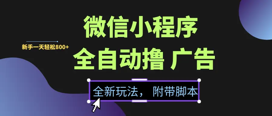 微信小程序挂机撸广告，全新玩法，新手一天轻松800+【附带脚本】-淘米帮