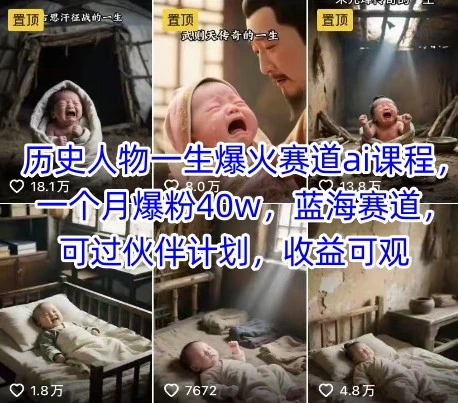 【精】历史人物一生爆火赛道ai课程，一个月爆粉40w，蓝海赛道，可过伙伴计划，收益可观-淘米帮