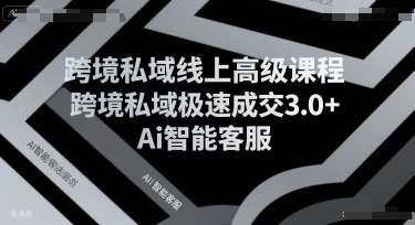【精】跨境私域线上高级课程，跨境私域极速成交3.0+Ai智能客服-淘米帮