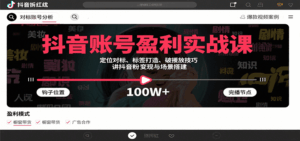 抖音账号盈利实战课,定位对标、标签打造、破播放技巧,讲涨粉变现与场景搭建-淘米帮