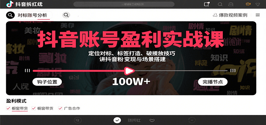 抖音账号盈利实战课，定位对标、标签打造、破播放技巧，讲涨粉变现与场景搭建-淘米帮