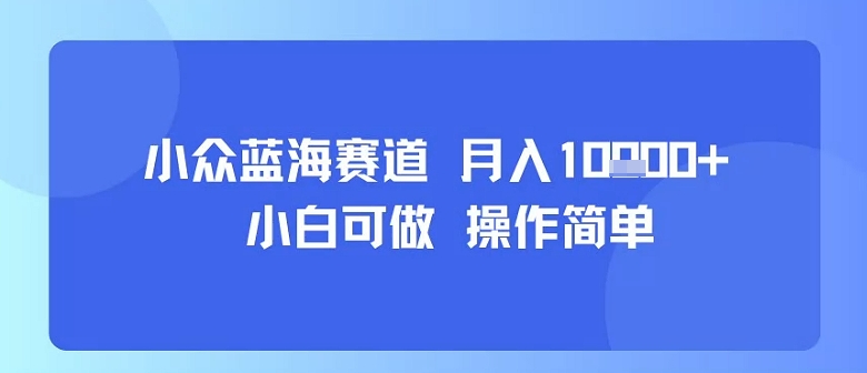 小众蓝海赛道，小白可做，操作简单，每天30分钟，月入1W+-淘米帮