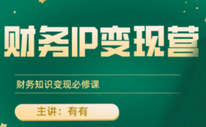 有有老师·财务IP变现营,财务知识变现必修课-淘米帮