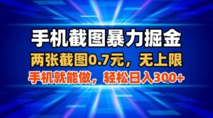 手机截图暴力掘金,两张截图0.7米,一部手机就能做,轻松日入3张+【揭秘】-淘米帮