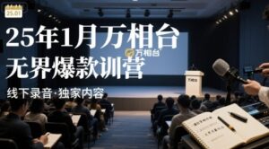 25年1月万相台无界爆款特训营线下录音-淘米帮