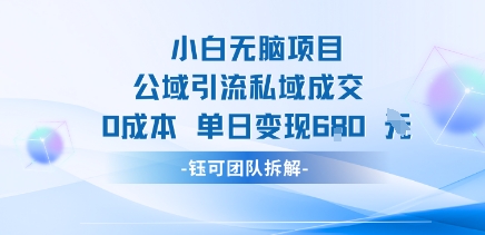 小白无脑项目公域引流私域成交0成本单日变现680米-淘米帮