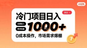 在小红书上发现个冷门路子，需求不小，零成本操作，每天能有1k进账-淘米帮