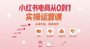 小红书电商从0到1实操运营课,从零开始,简单易学-淘米帮