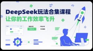 DeepSeek玩法合集课程，让你的工作效率飞升-淘米帮