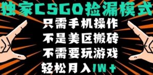 CSGO自动捡漏项目,最新独家玩法,不是美区搬砖,不需要了解和玩游戏,新手小白轻松月入1W+【揭秘】-淘米帮
