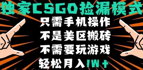 CSGO自动捡漏项目，最新独家玩法，不是美区搬砖，不需要了解和玩游戏，新手小白轻松月入1W+【揭秘】-淘米帮