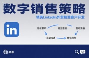 数字销售策略领英LinkedIn外贸精准客户开发-淘米帮
