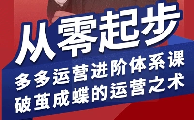 【精】拼多多运营进阶系统课，从零起步，多多运营进阶体系课，破茧成蝶的运营之术-淘米帮