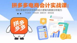 拼多多电商会计实战课:轻松掌握拼多多特有的会计逻辑与数据分析能力-淘米帮
