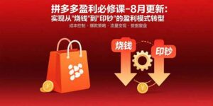 拼多多盈利必修课-8月更新：突破运营瓶颈 实现从烧钱到印钞的盈利模式转型-淘米帮