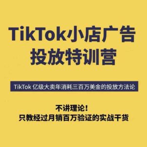 【精】TikTok小店广告投放特训营，6天破局计划专治各种“投不动”，教你经过月销百万验证的实战干货-淘米帮